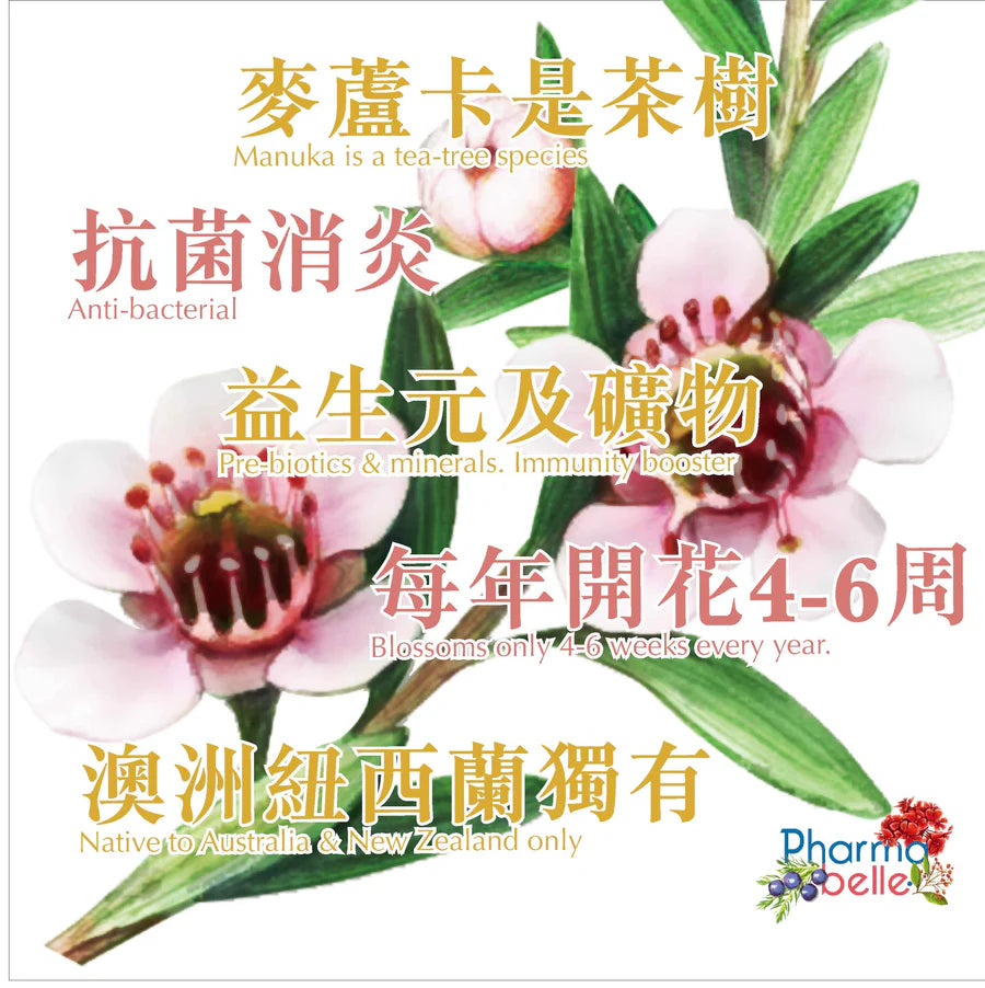 【限時8折】Pharmabelle 麥蘆卡蜂蜜 NPA10+ 500g