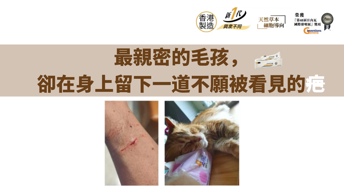 最親密的毛孩，卻在身上留下一道不願被看見的疤